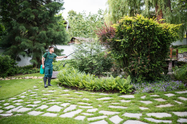 Best Affordable Pest Control Services  in Basalt, CO