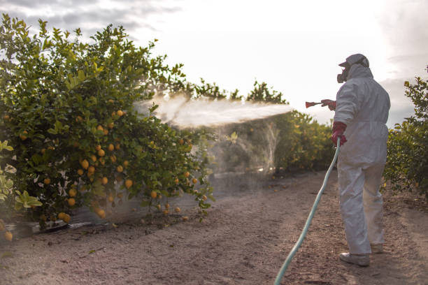 Best Best Pest Control Companies  in Basalt, CO