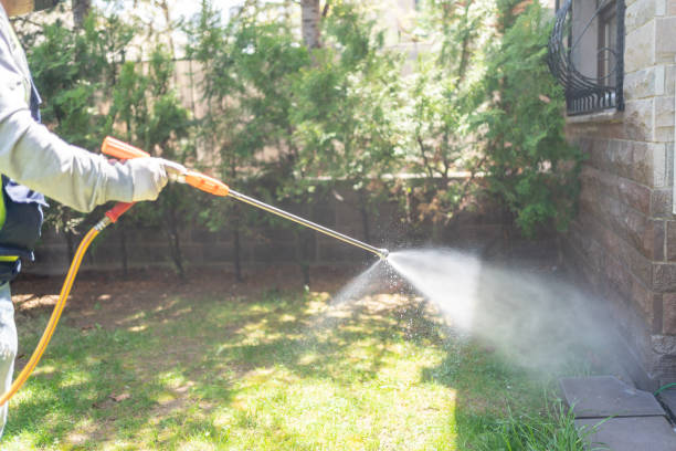 Best Exterminator Services  in Basalt, CO