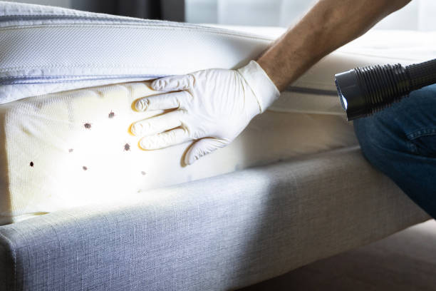 Best Commercial Pest Control Services  in Basalt, CO