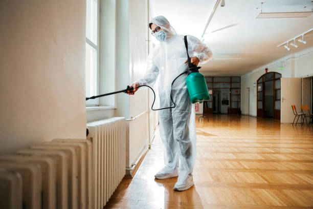 Pest Prevention Services in Basalt, CO