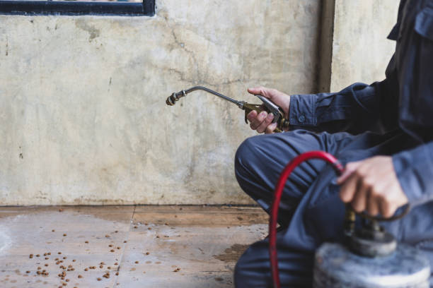Best Affordable Pest Control Services  in Basalt, CO